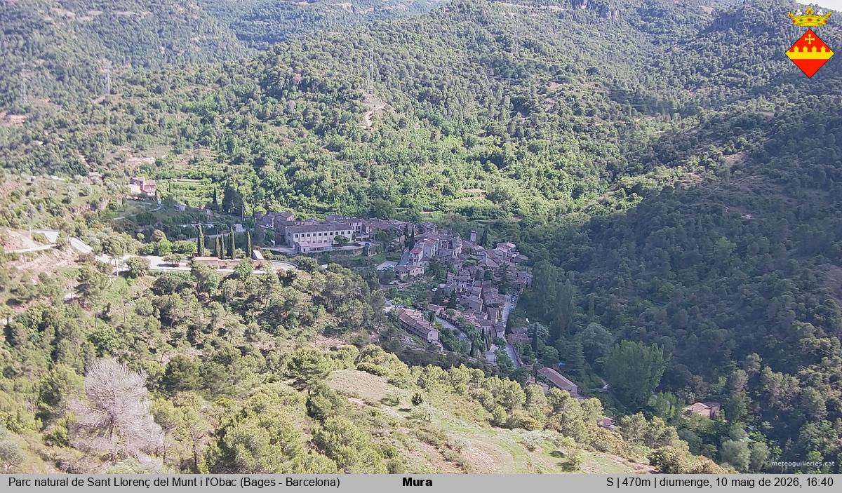 Mura 