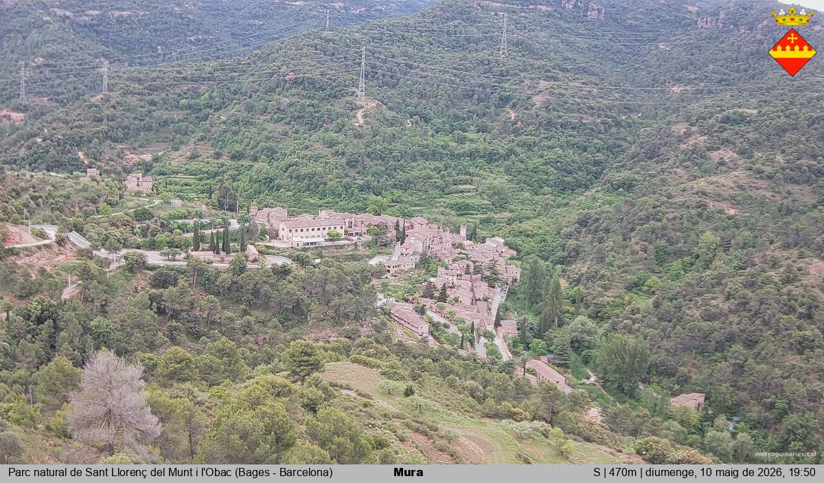 Mura 