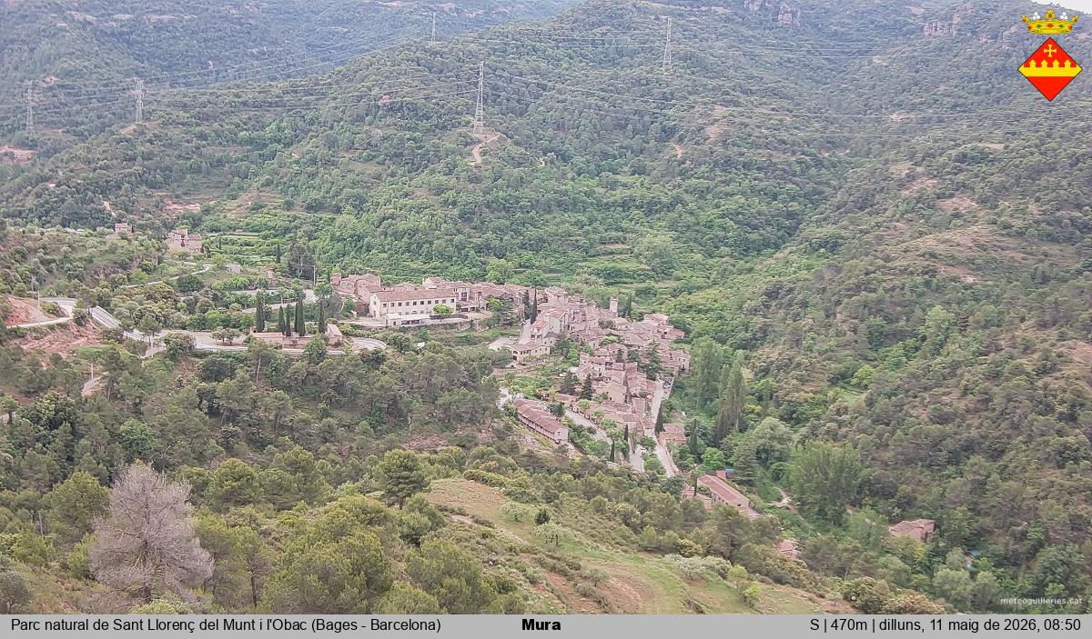 Mura 