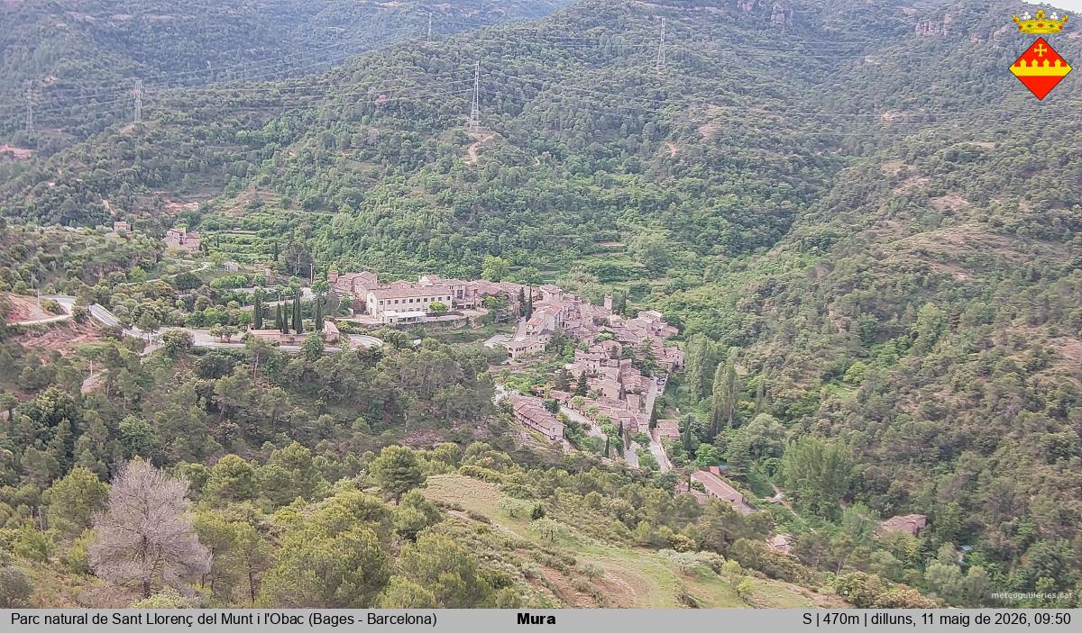 Mura 
