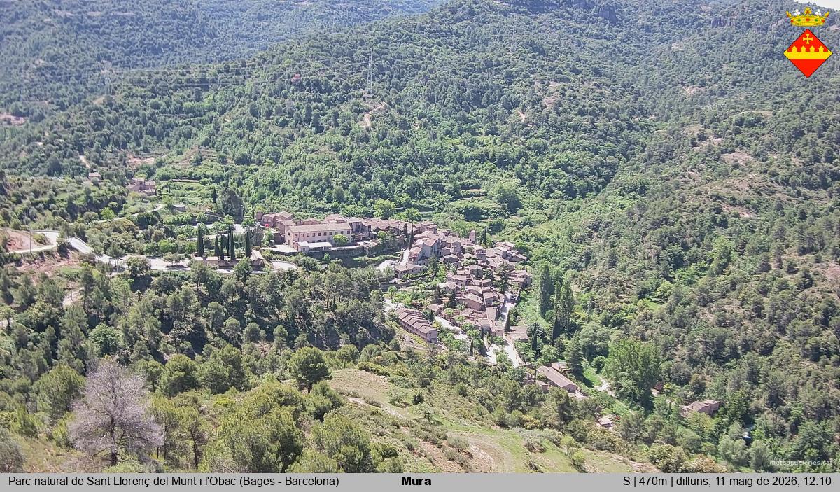Mura 