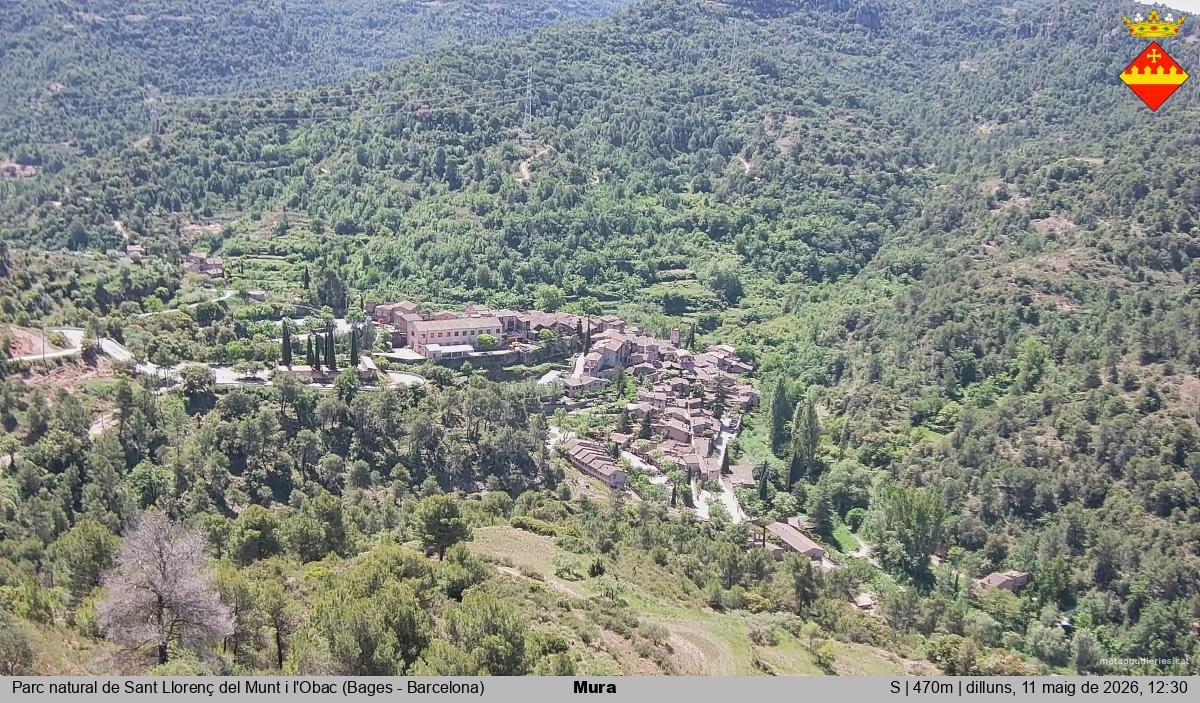 Mura 