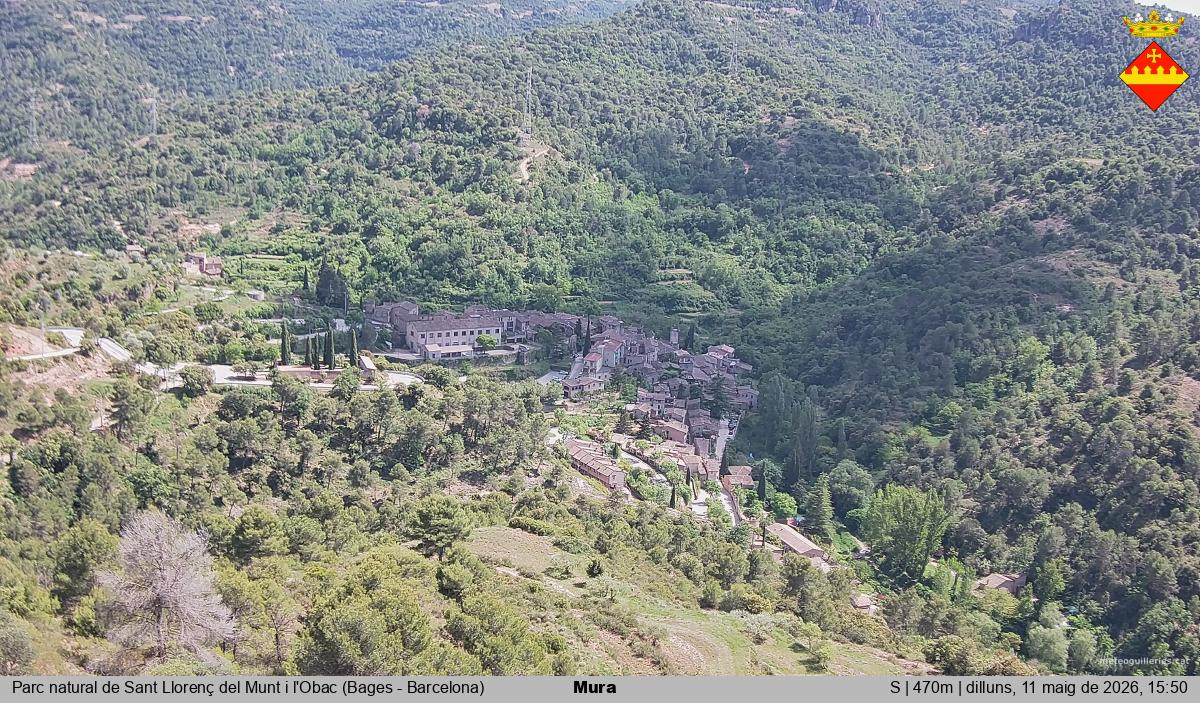 Mura 