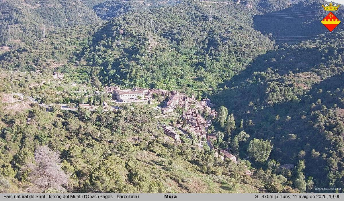 Mura 