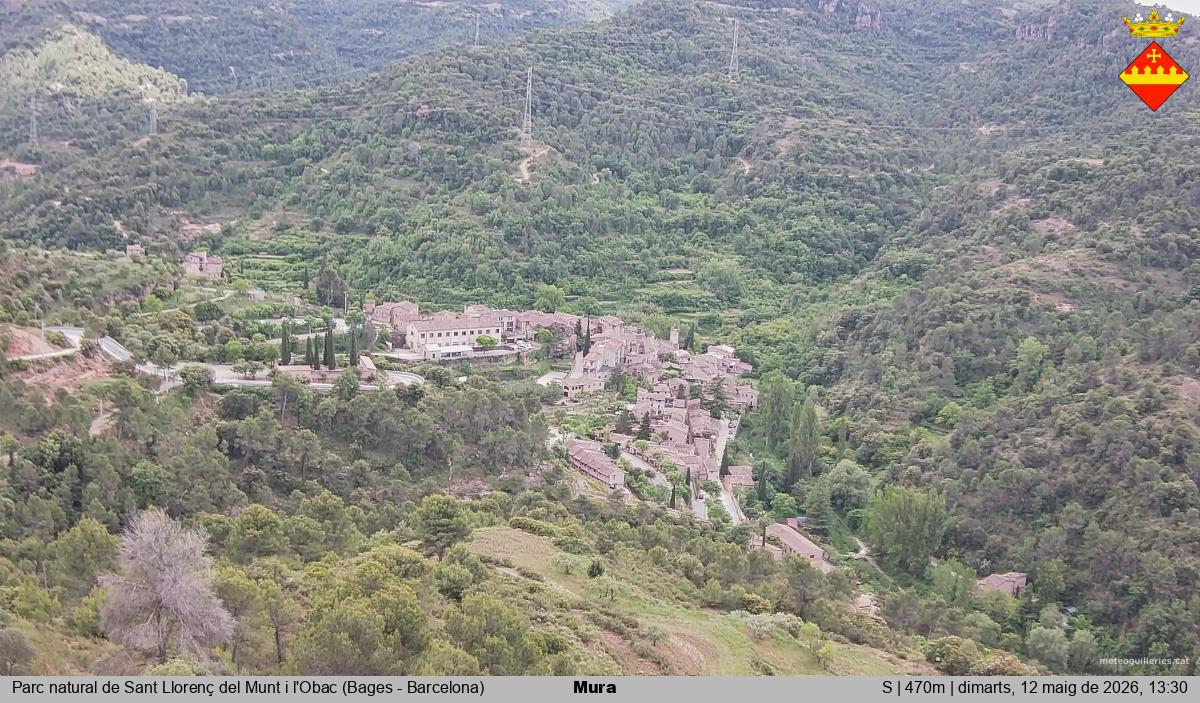 Mura 