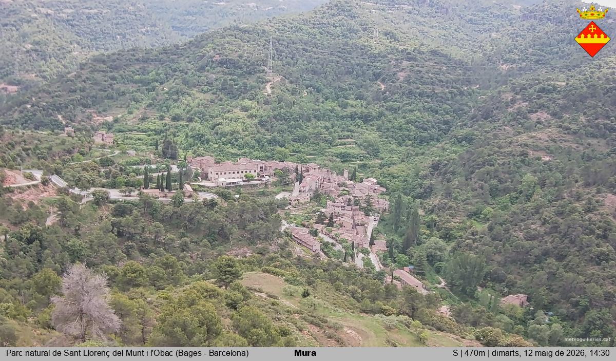 Mura 