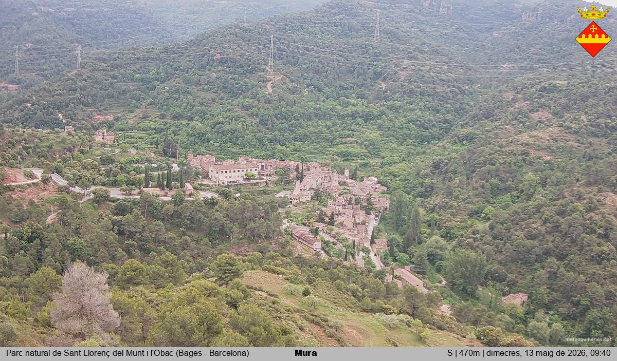 Mura 