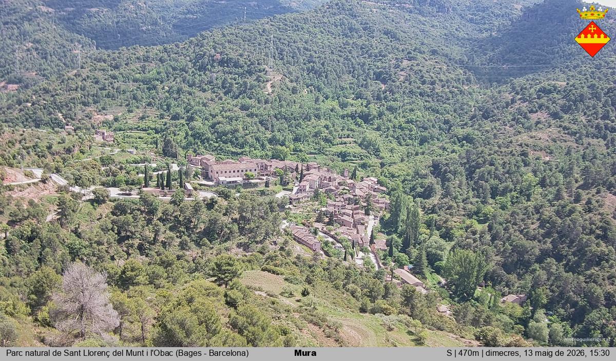 Mura 