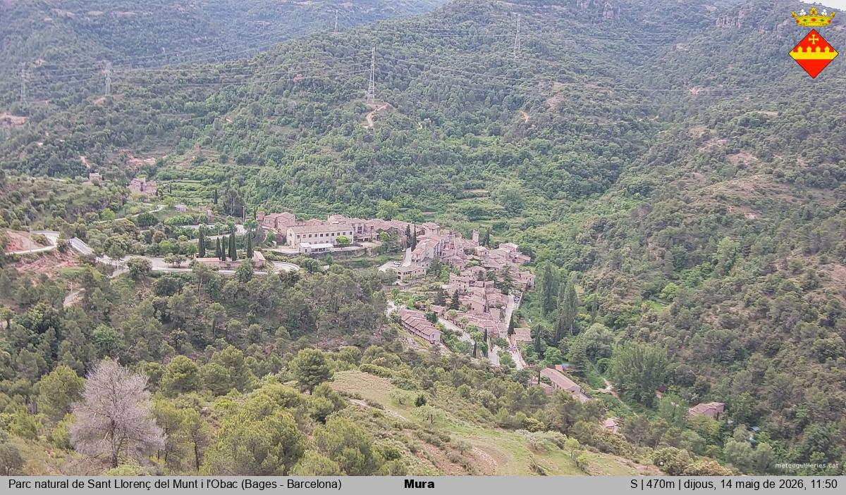 Mura 
