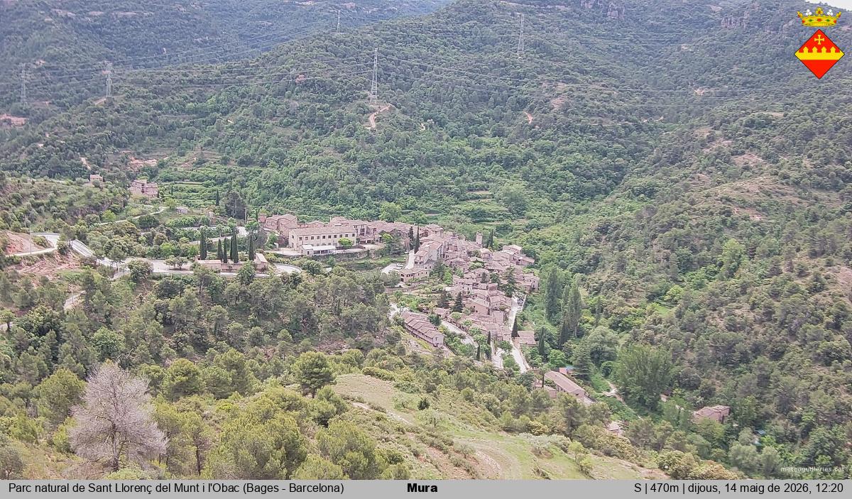 Mura 
