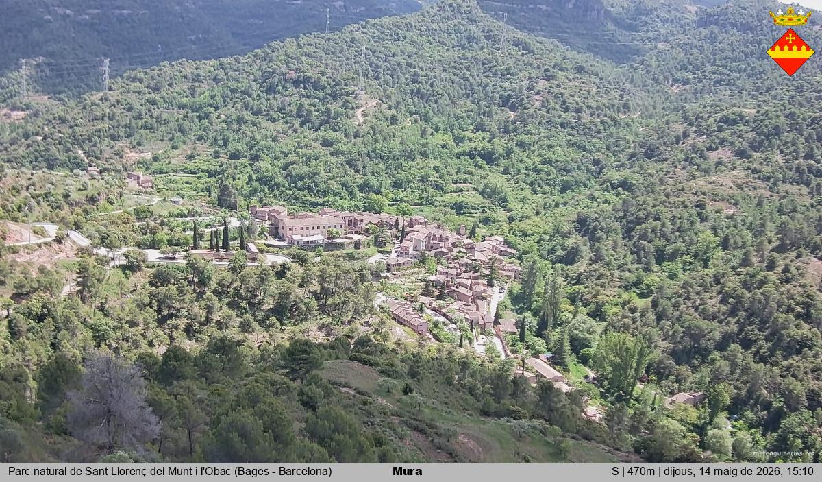 Mura 