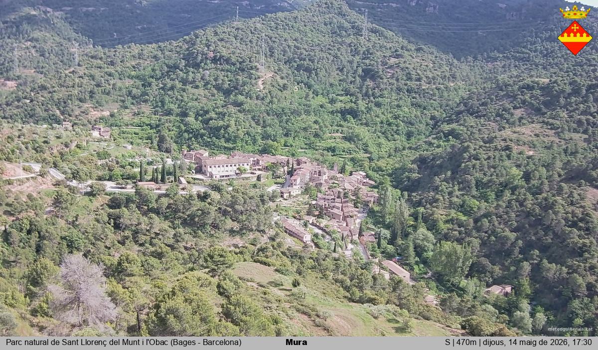 Mura 