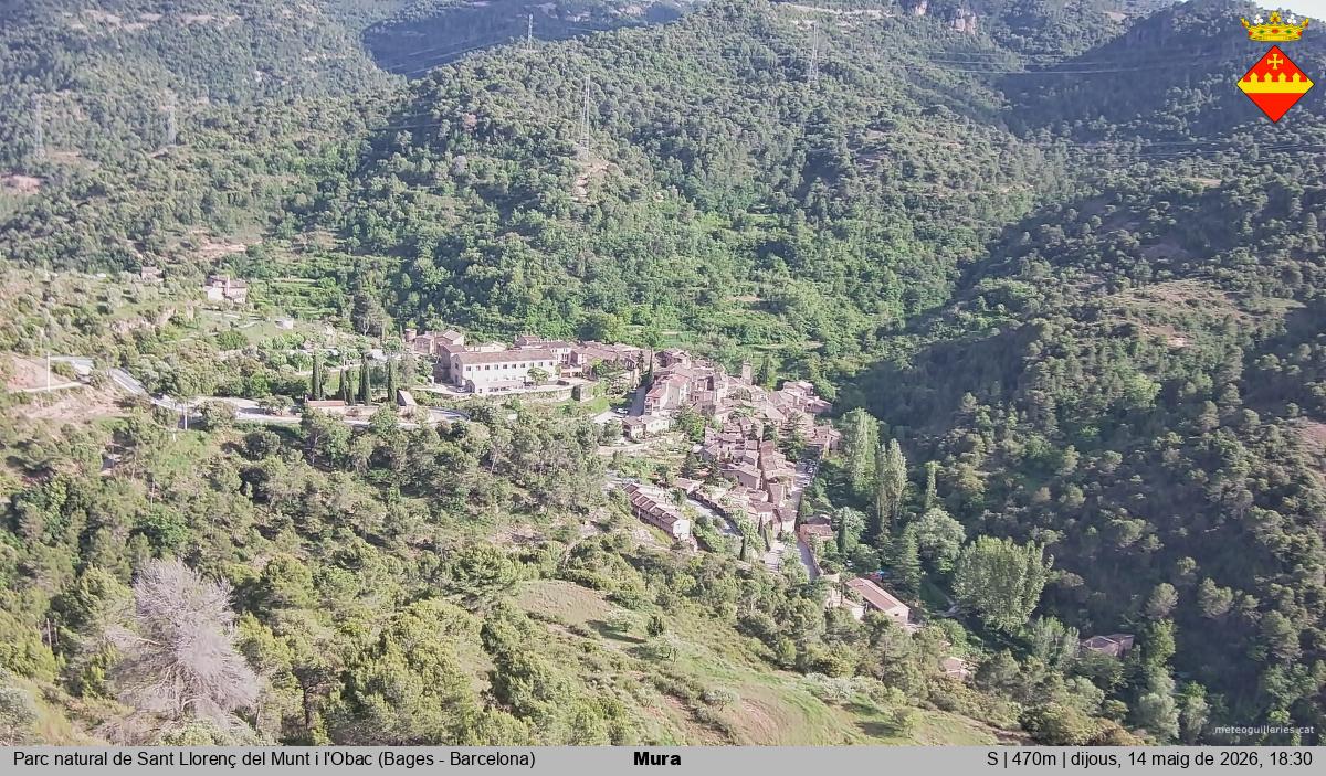 Mura 