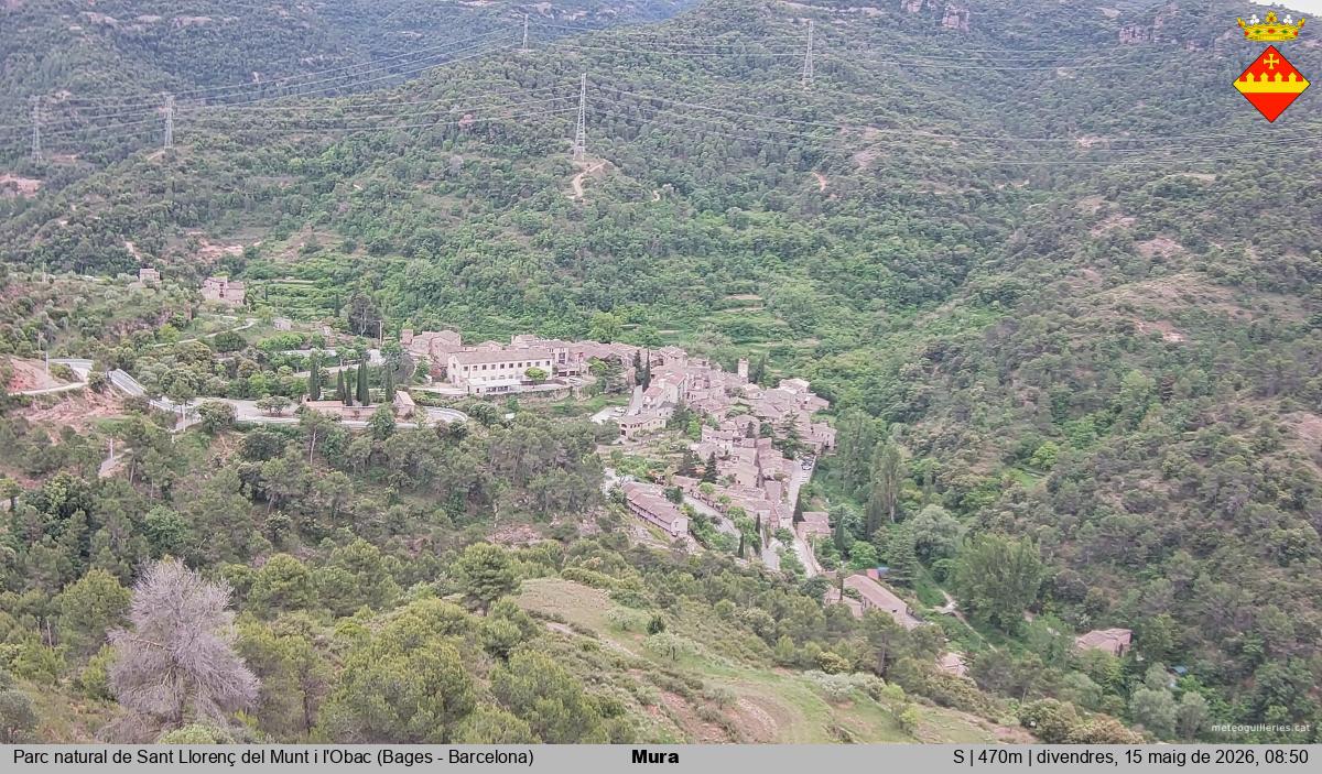 Mura 