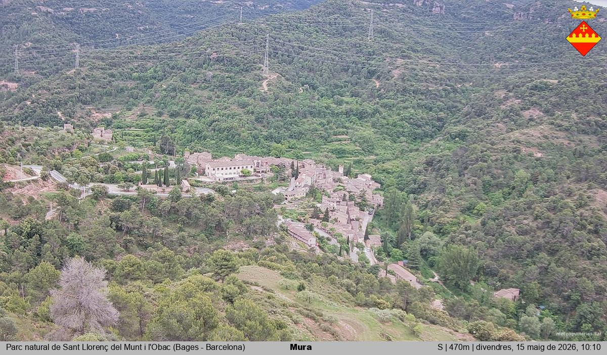 Mura 