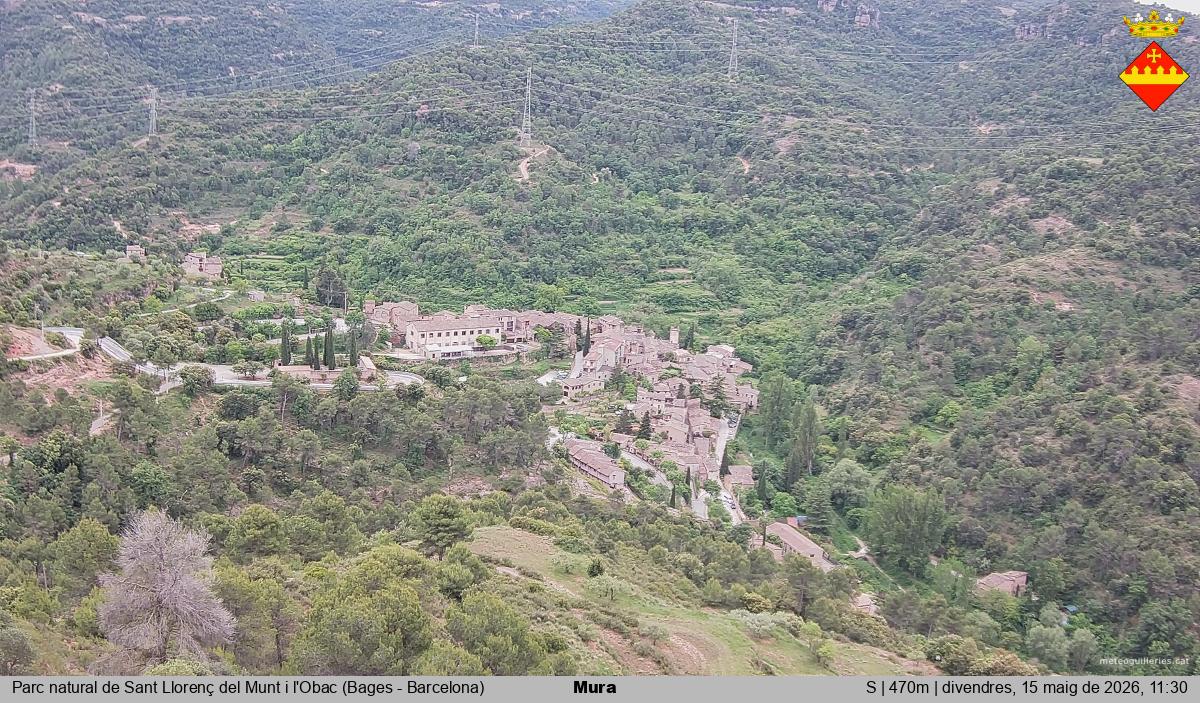 Mura 