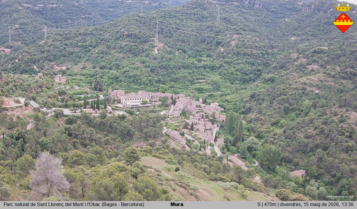 Mura 