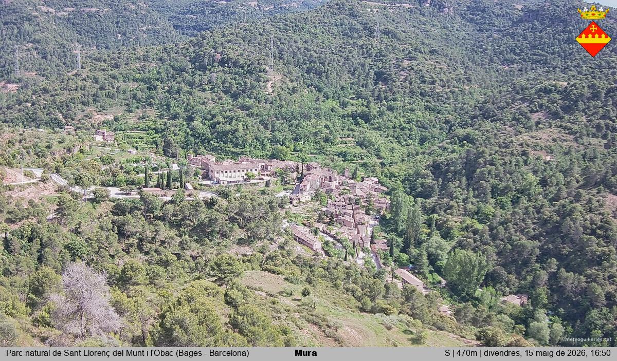 Mura 