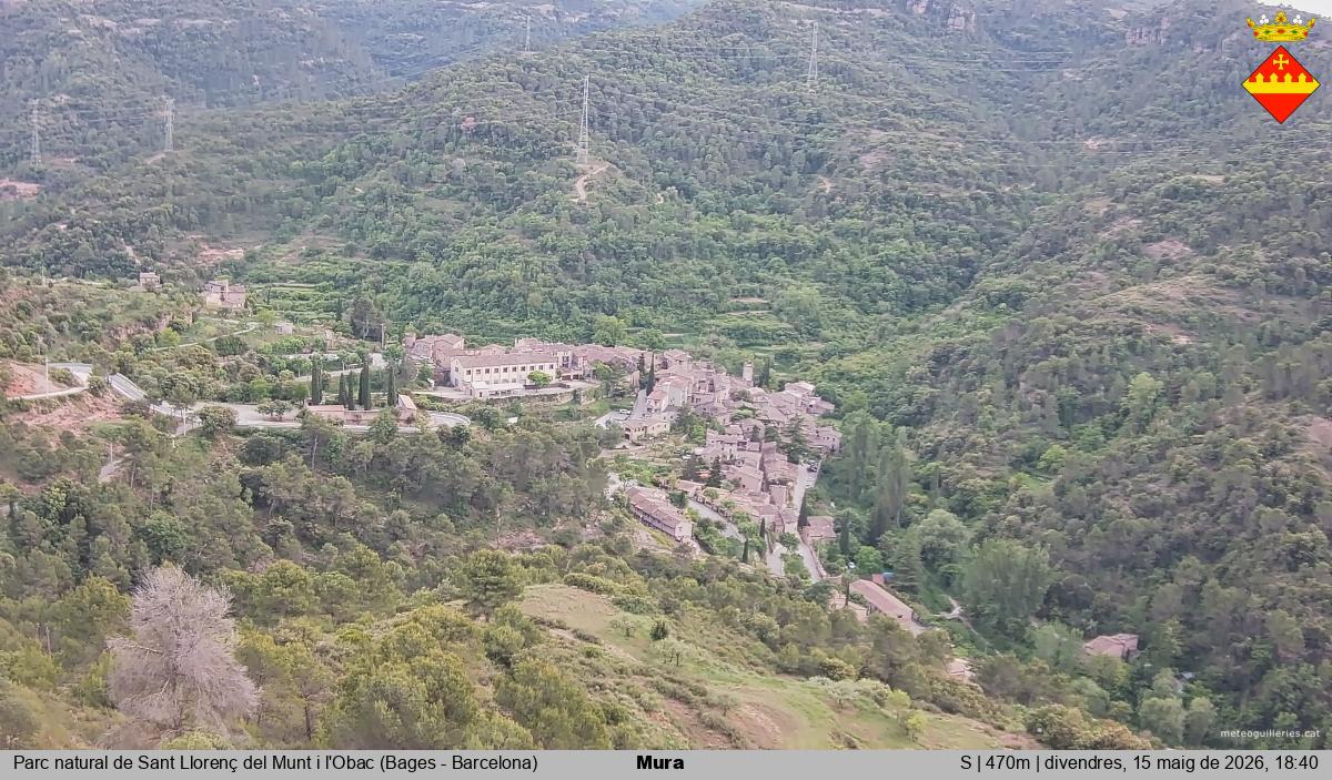 Mura 