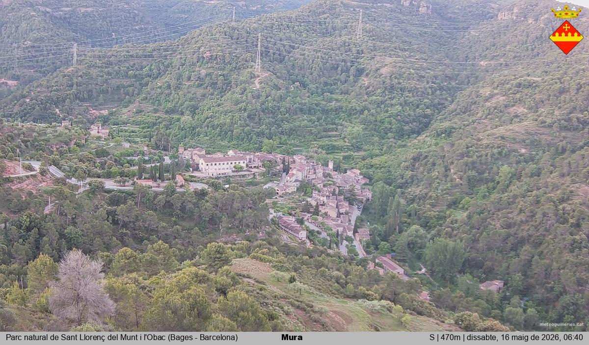 Mura 
