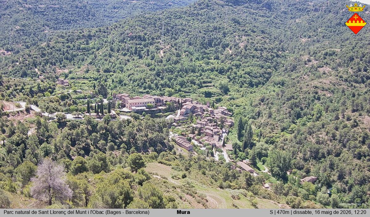 Mura 