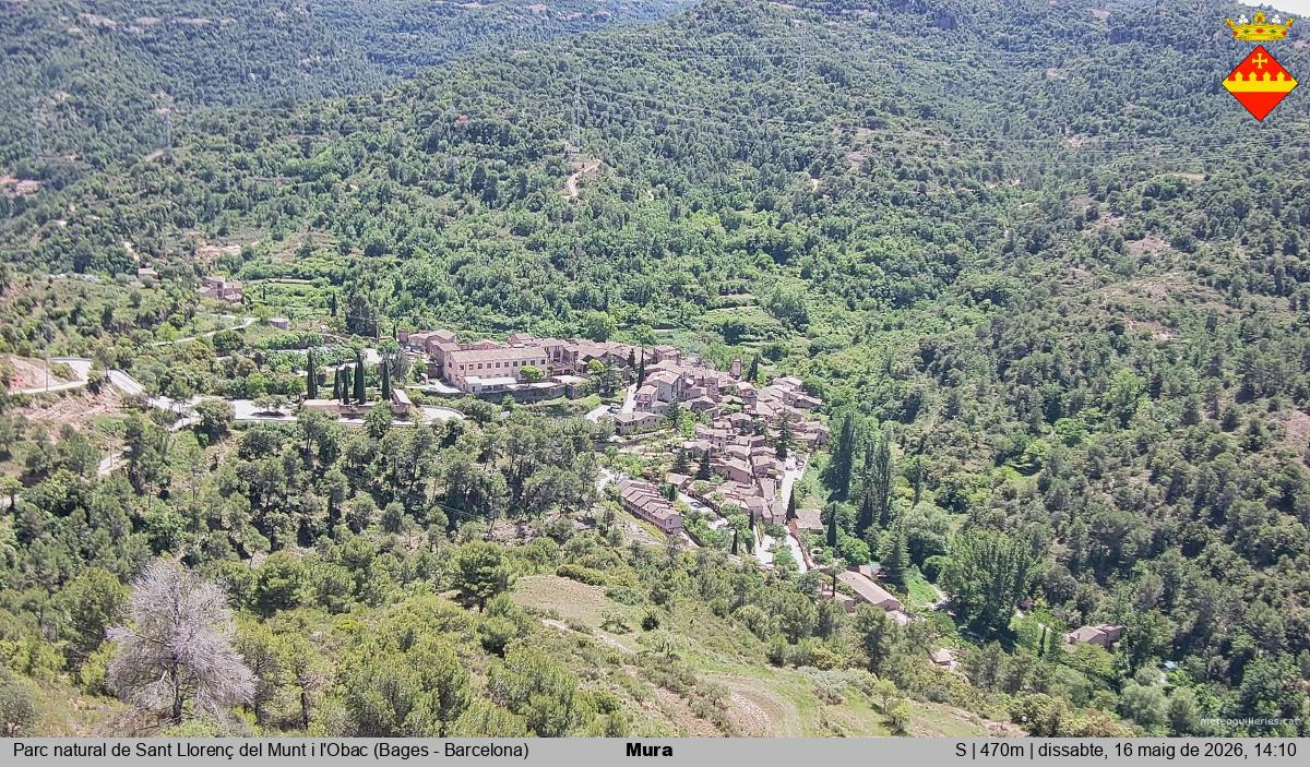 Mura 