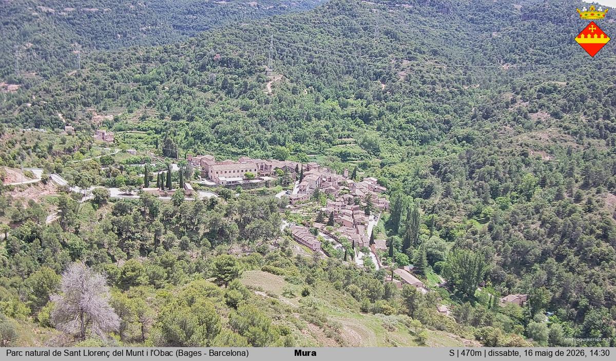 Mura 
