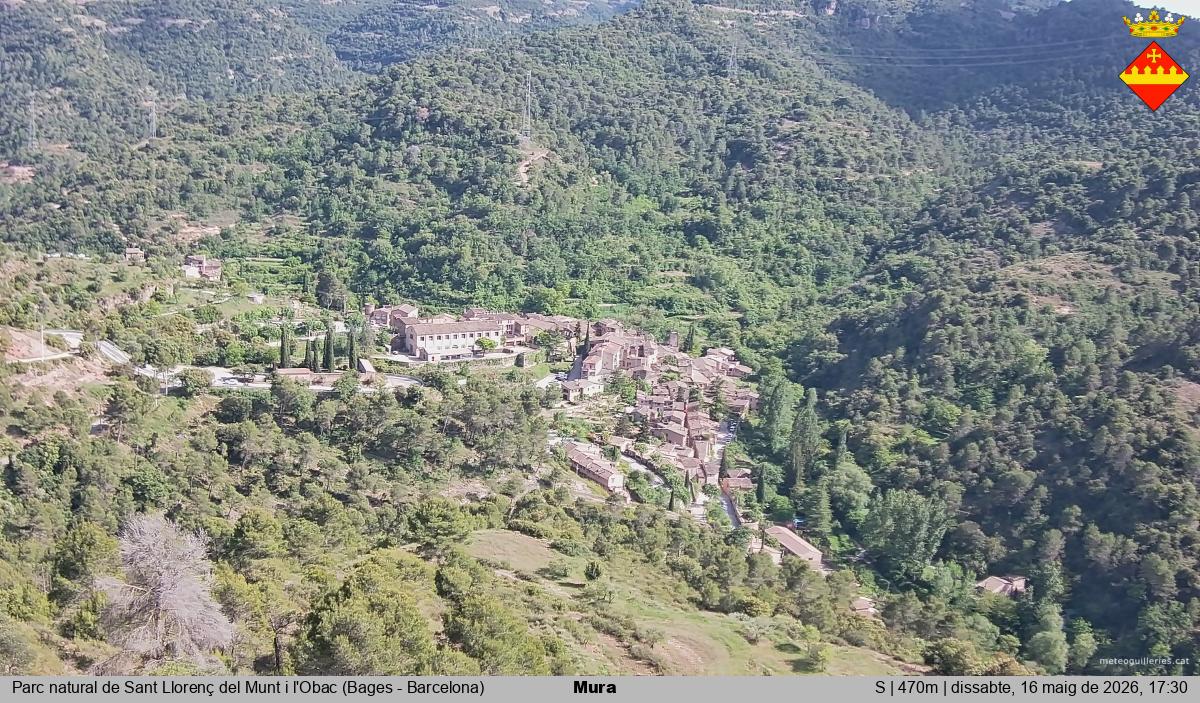 Mura 