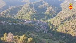 Webcams
