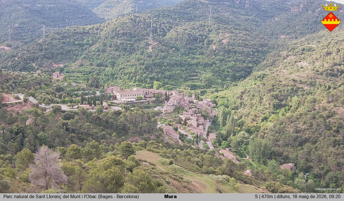 Mura 