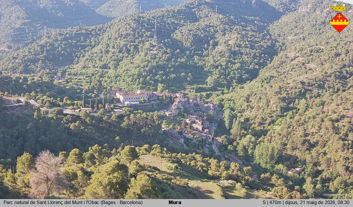 Mura 