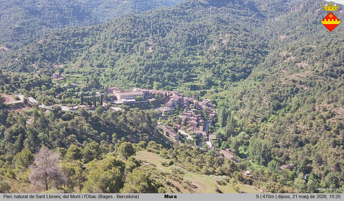Mura 
