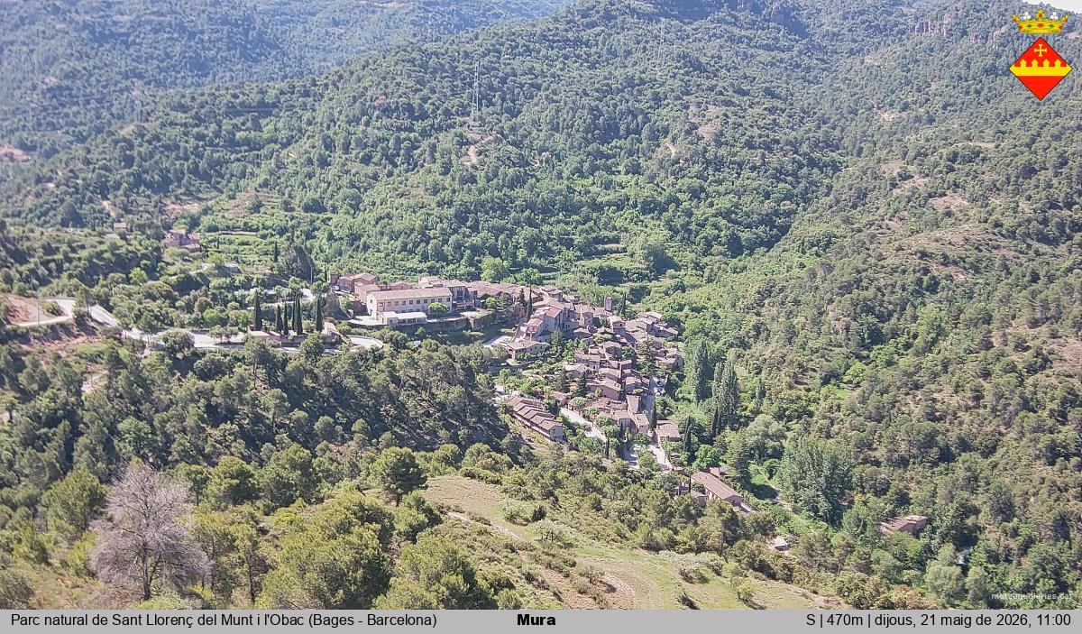 Mura 