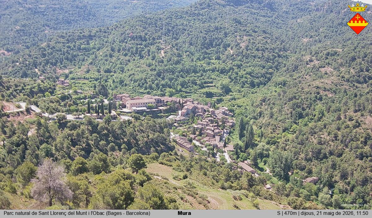 Mura 