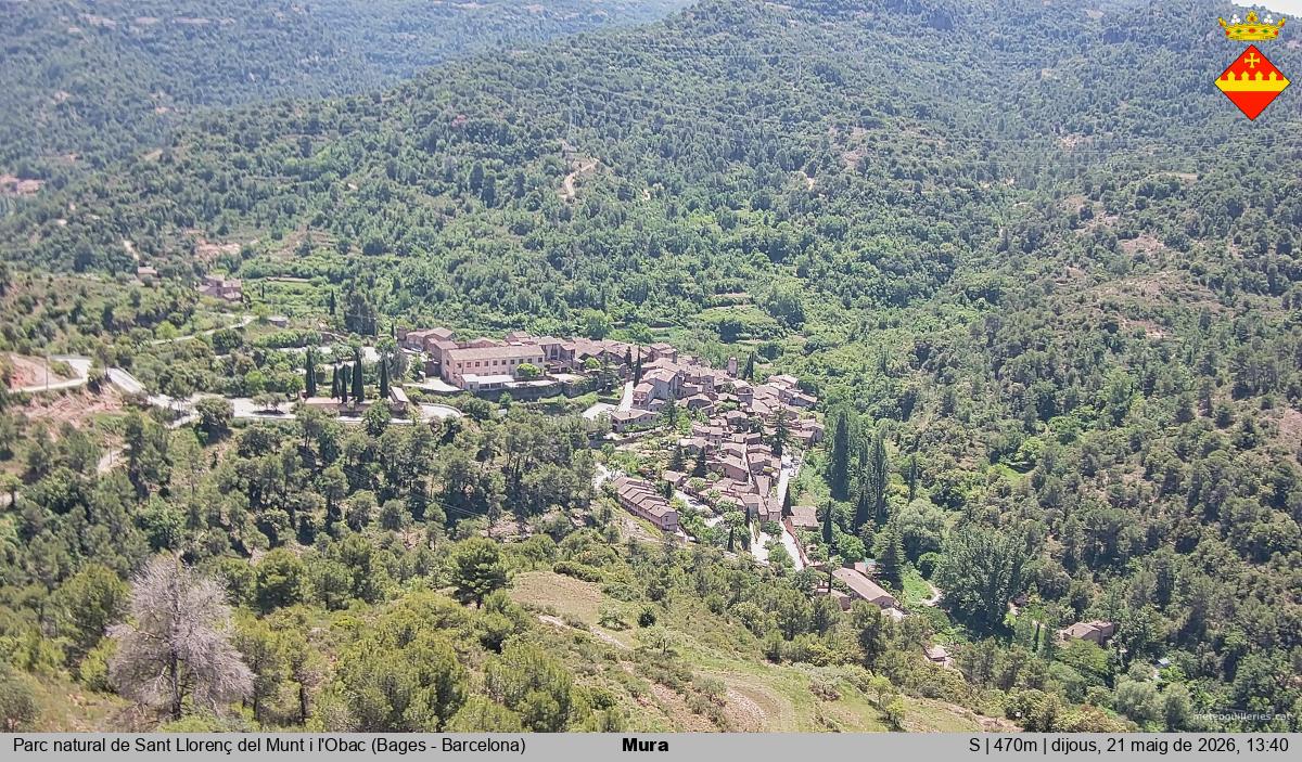 Mura 
