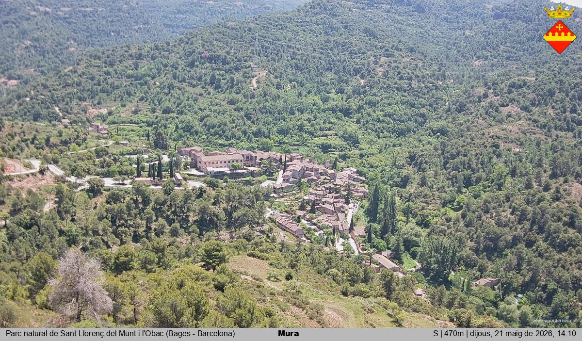 Mura 