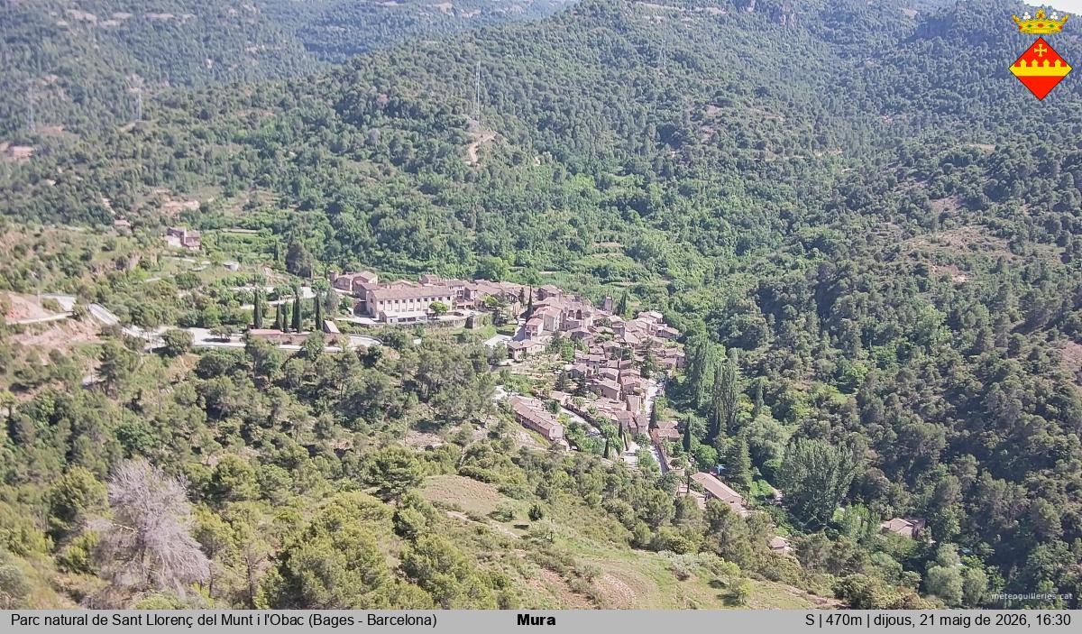 Mura 