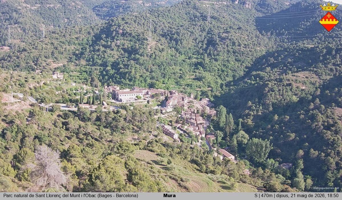 Mura 