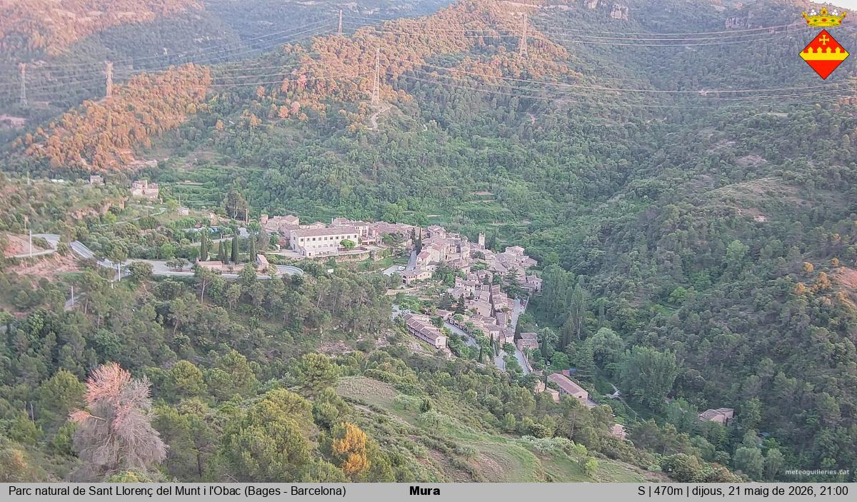 Mura 
