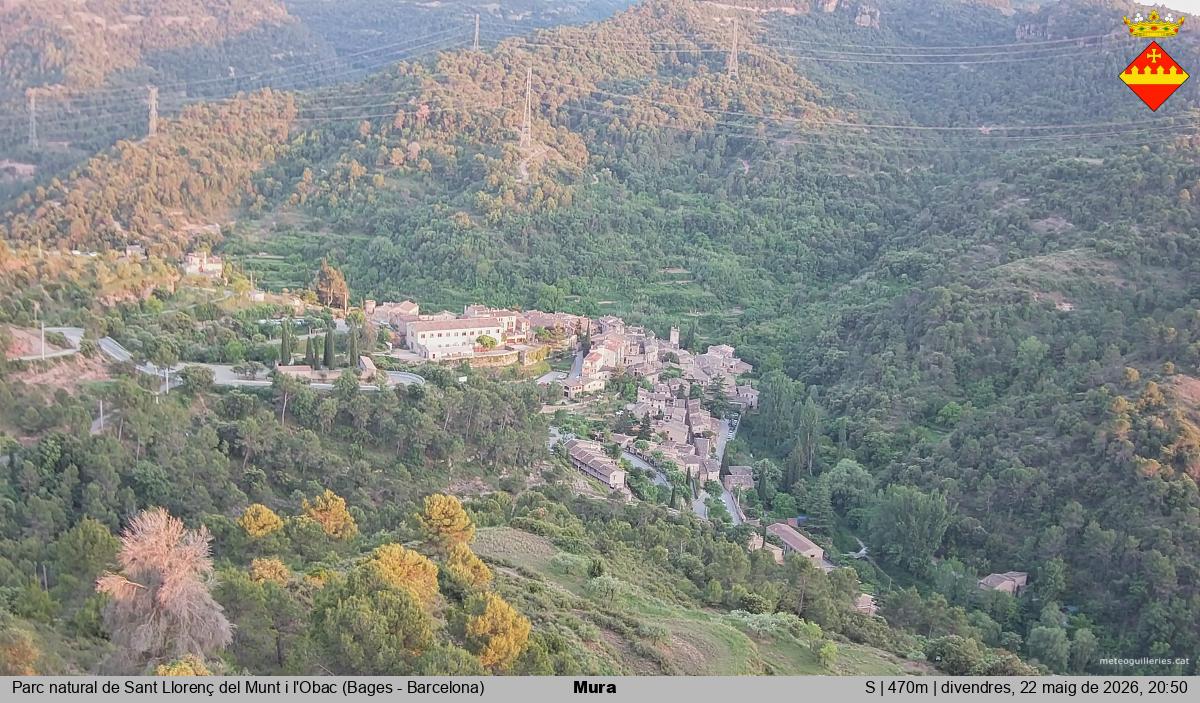 Mura 