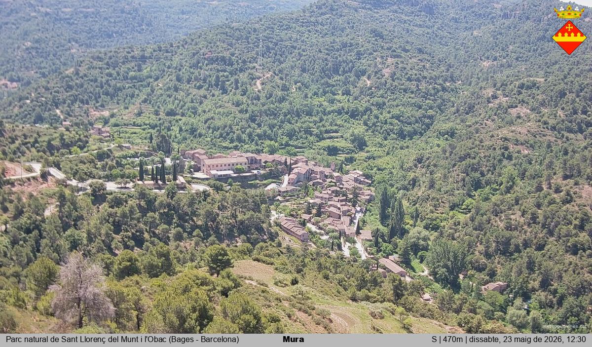 Mura 