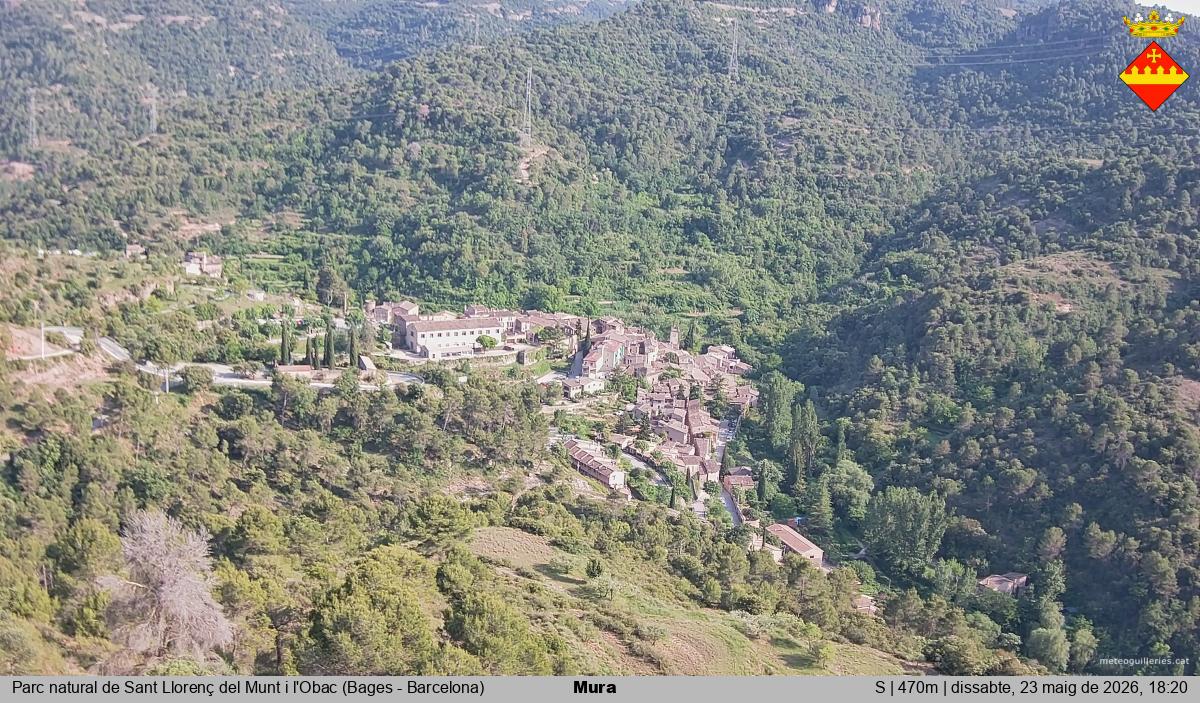 Mura 