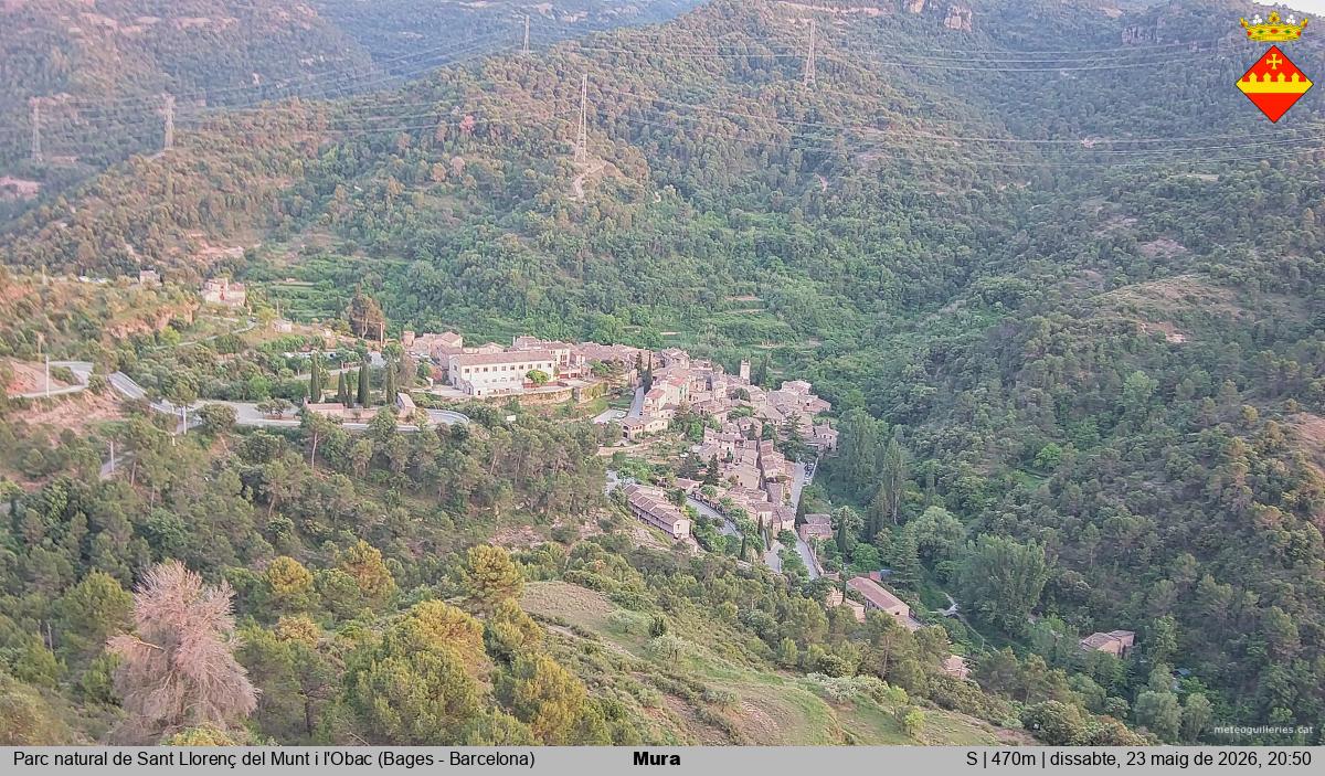 Mura 