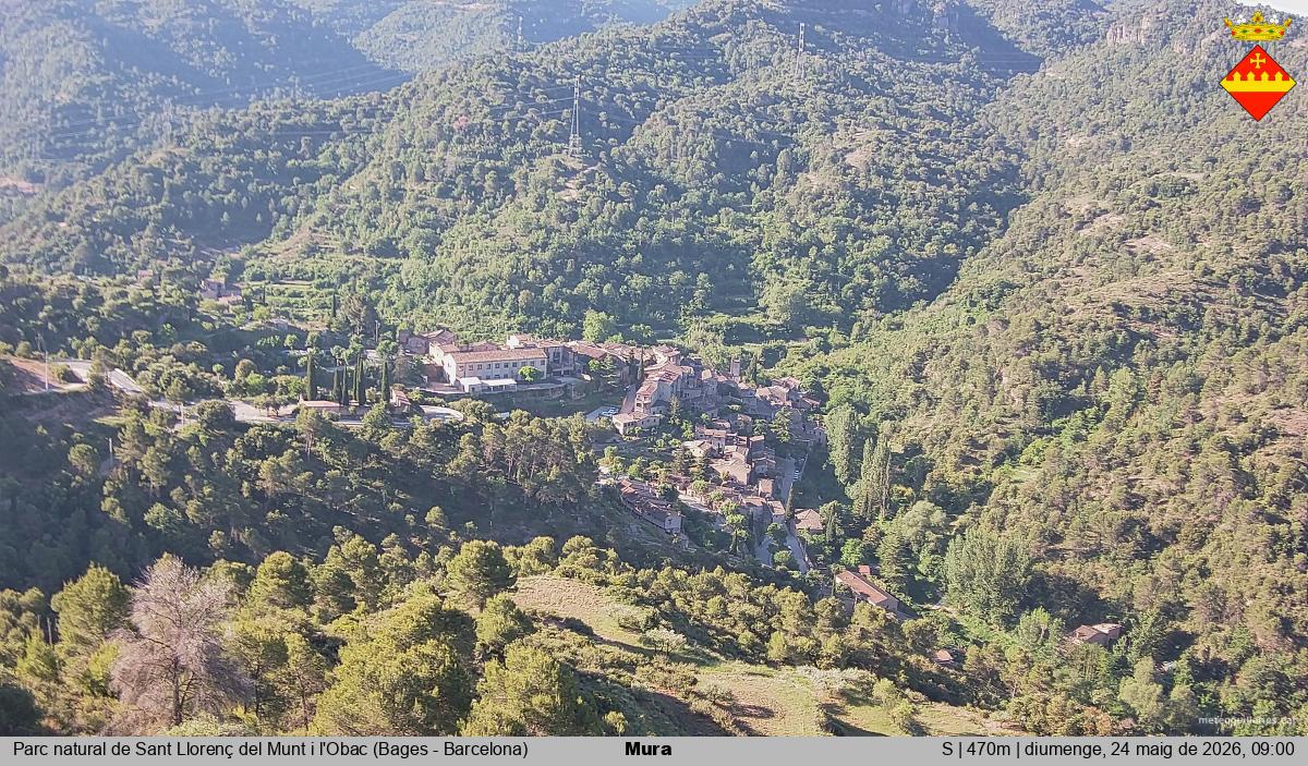 Mura 