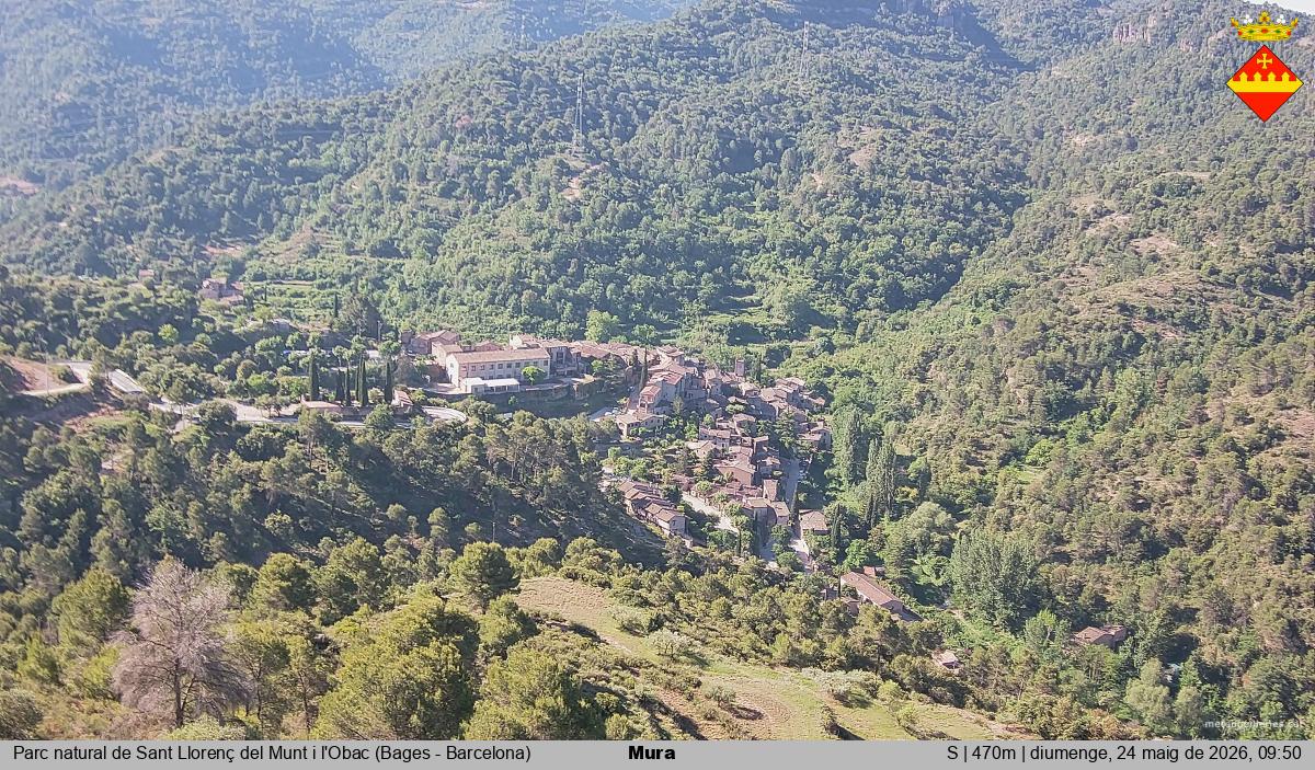 Mura 
