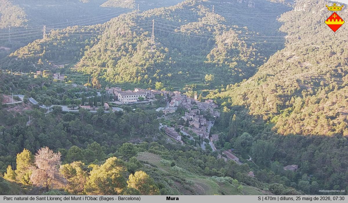 Mura 