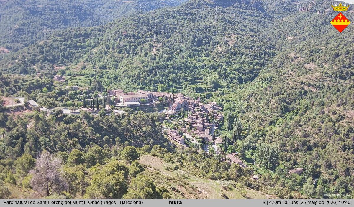 Mura 