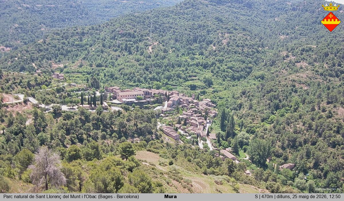 Mura 