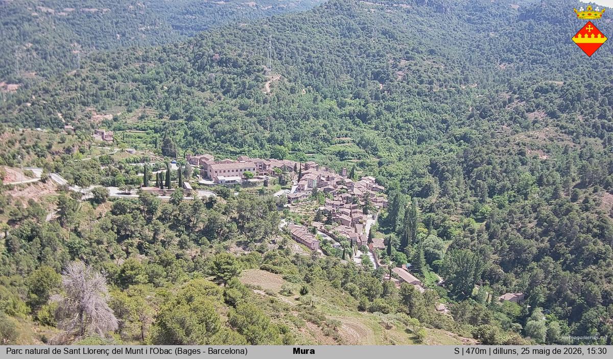 Mura 