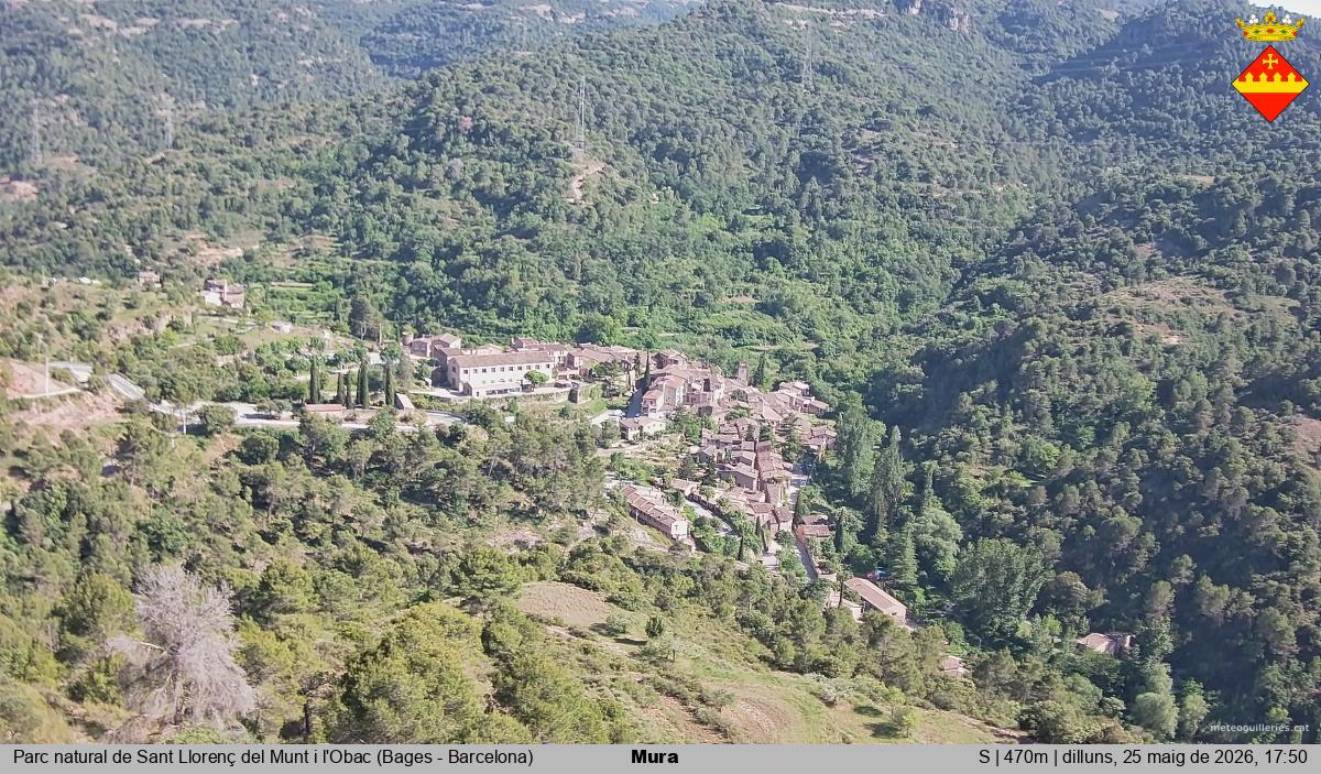 Mura 